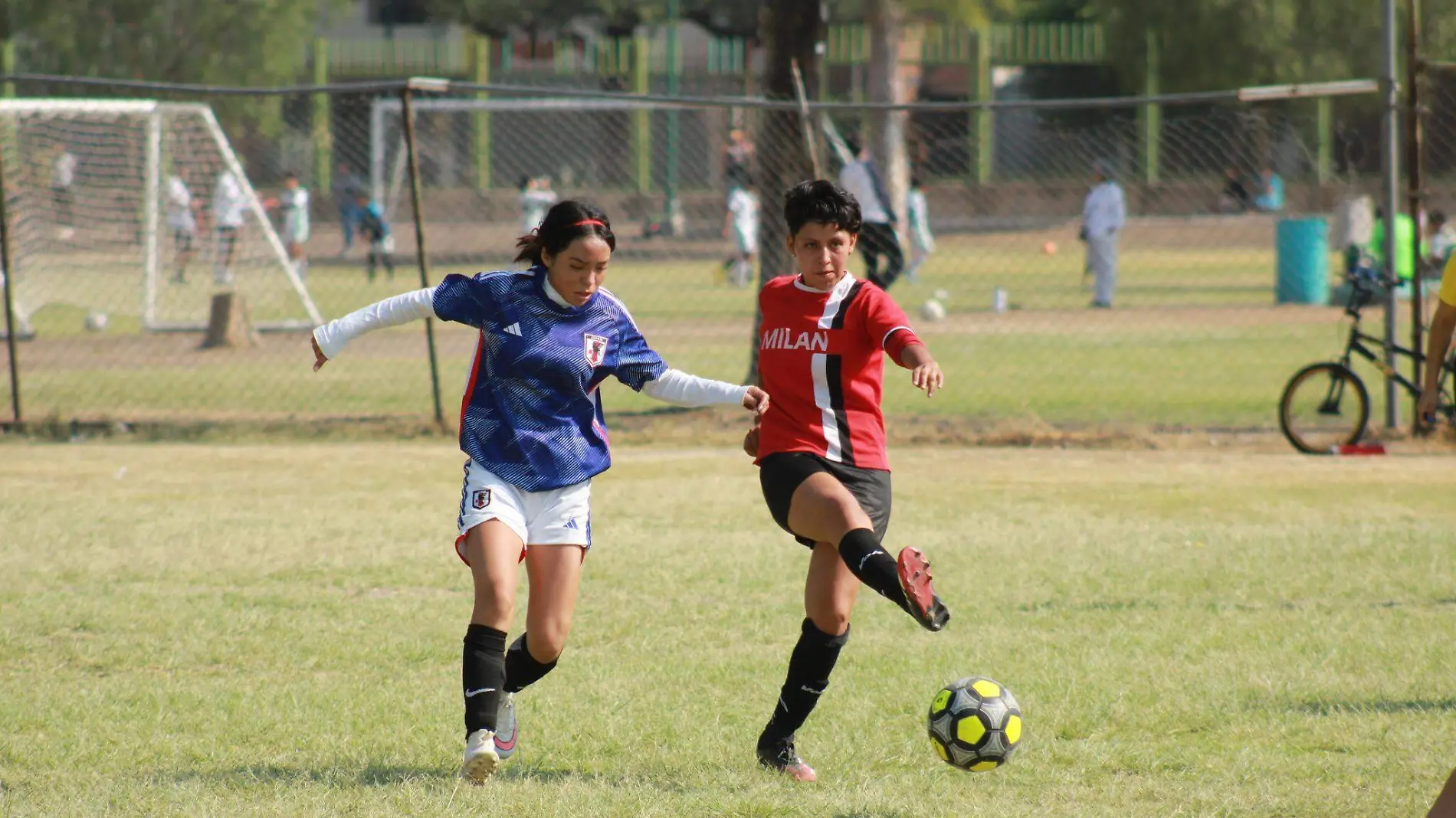 Cortesia Liga Estudiantil de Leon (6)